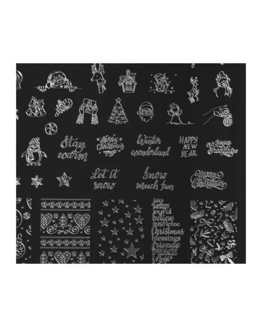 Winter 1 stamping plate