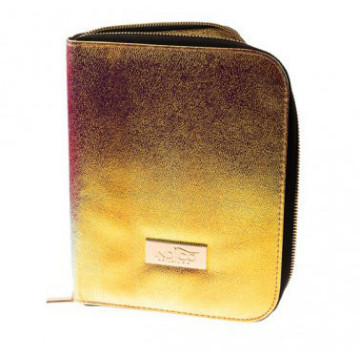 Indigo Brush Case