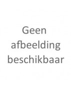 Penselen